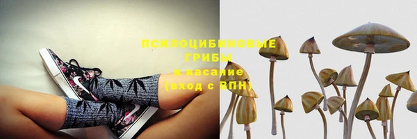 амф Зеленодольск