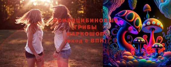 амф Зеленодольск