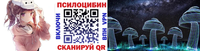 Псилоцибиновые грибы Cubensis Томилино